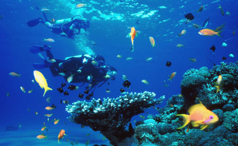 Goa Tourism