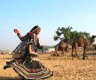 Gujarat Travel Guide