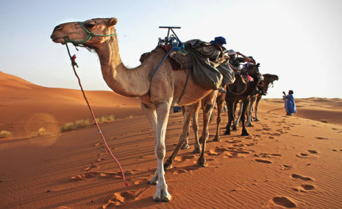 Rajasthan Tourism