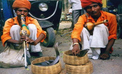 Rajasthan Travel Guide