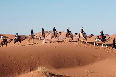 Rajasthan Travel Guide
